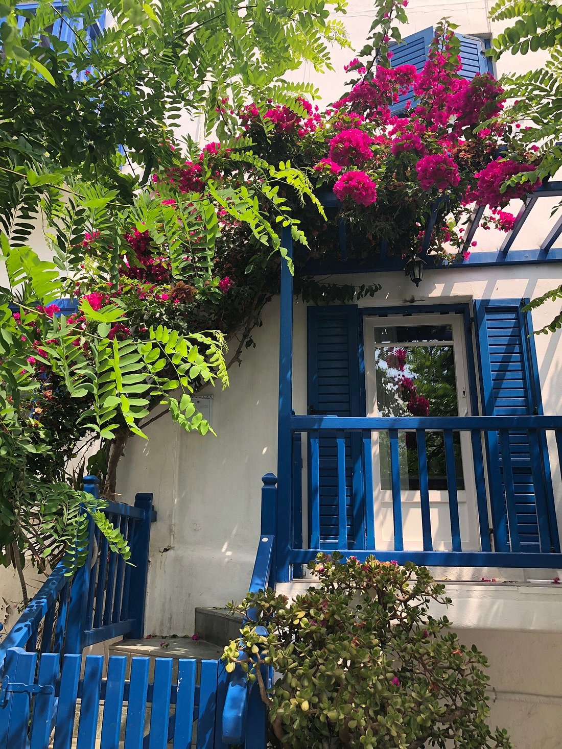 local house with beatifull flowers
